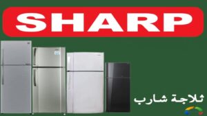 ارقام شارب مدينة بدر